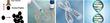New Study Shows Japanese Scientist May Reverse Balding Through Cell Therapy